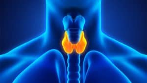 Essential Nutrients to Support Thyroid function