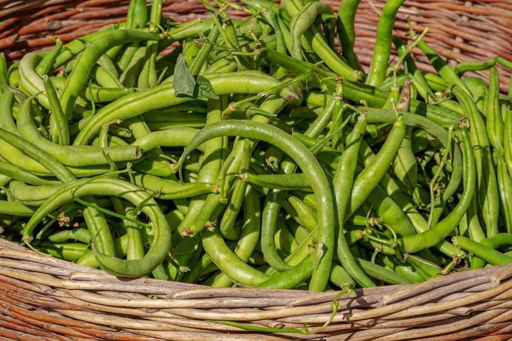 beans, vegetables, basket