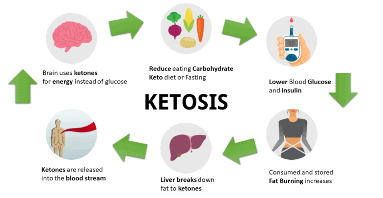 Get Into Ketosis 24 Hours