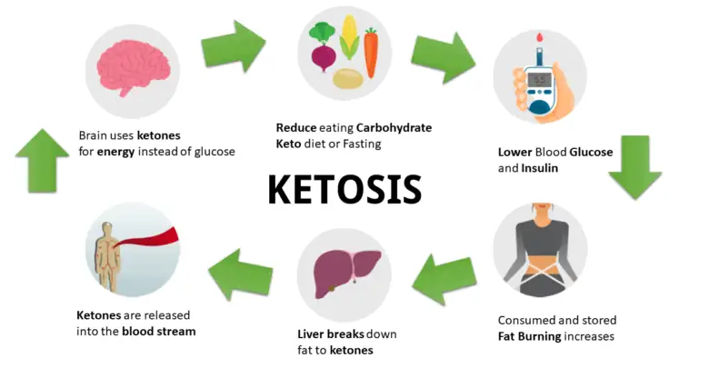 KETOSIS: SYMPTOMS AND CASUES