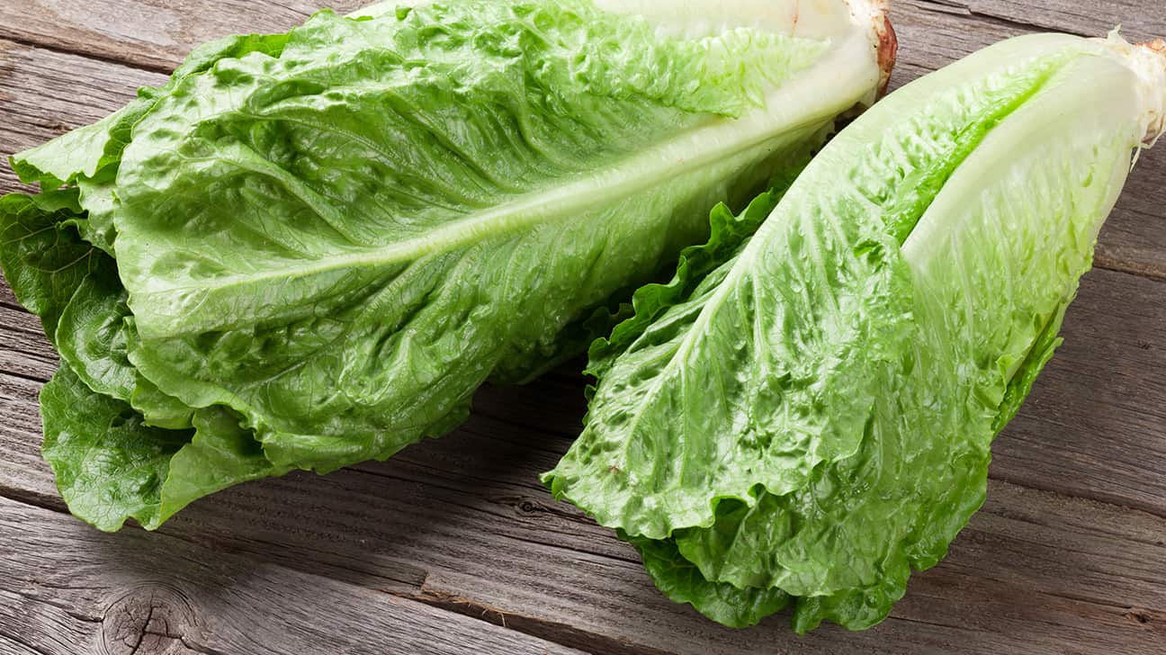 Lettuce Nutrition – Calories, Protein, Carbs