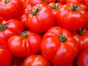 tomatoes, vegetables, red