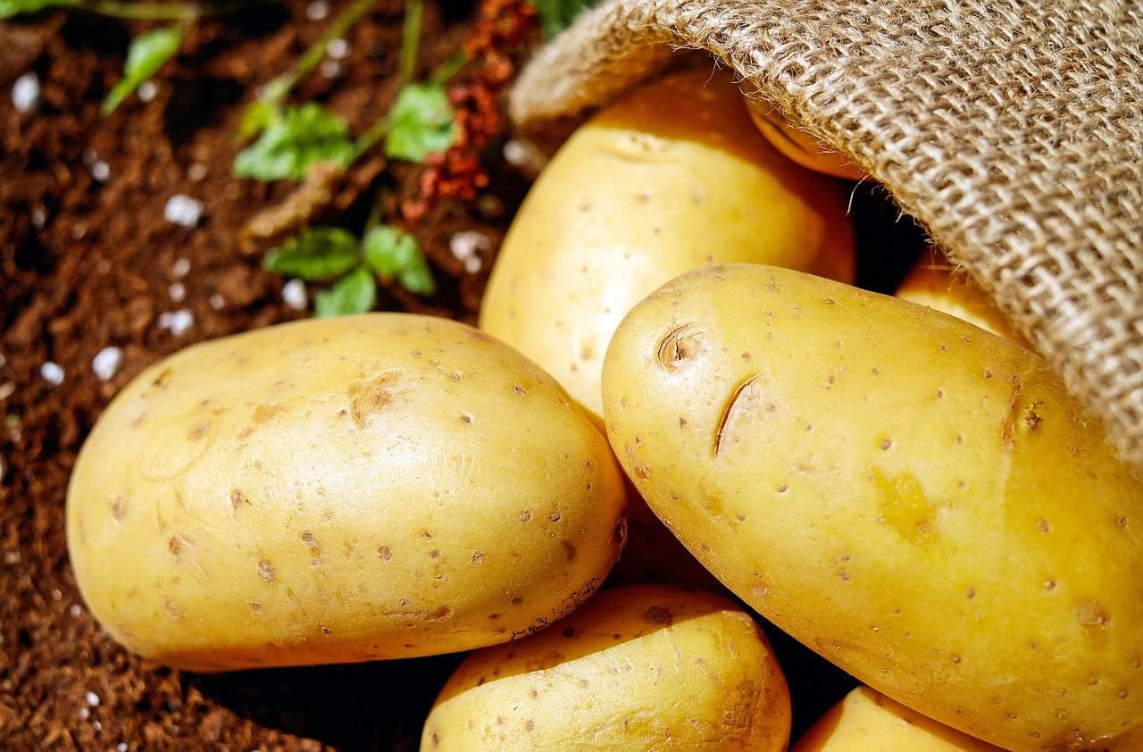 potatoes, vegetables, erdfrucht