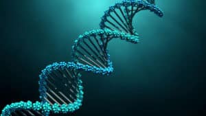 Can Keto Diet Lead DNA Repair?