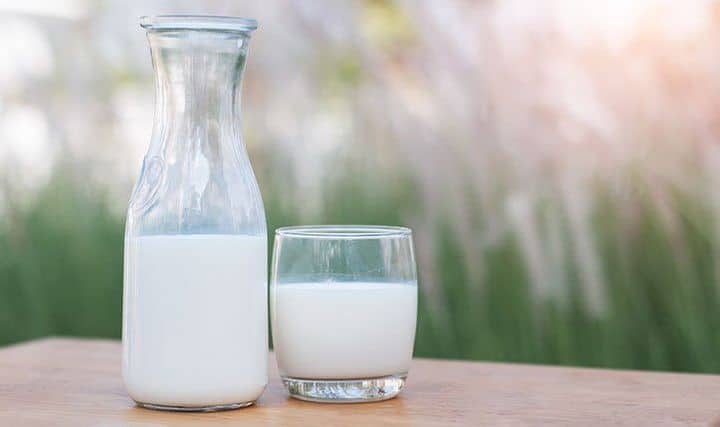 Dairy Products  For Better Thyroid Function