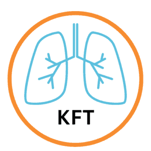 Kidney Function Test