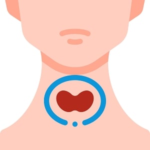 Thyroid