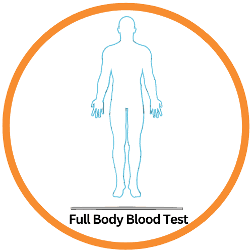 Full Body Test