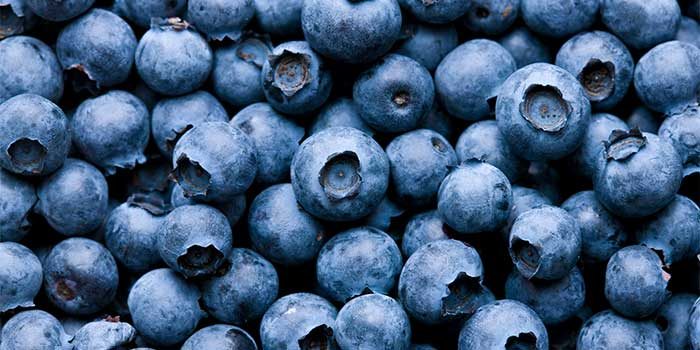 Blueberries- Nutritional Importance