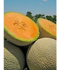 Is Muskmelon Good For Diabetes?