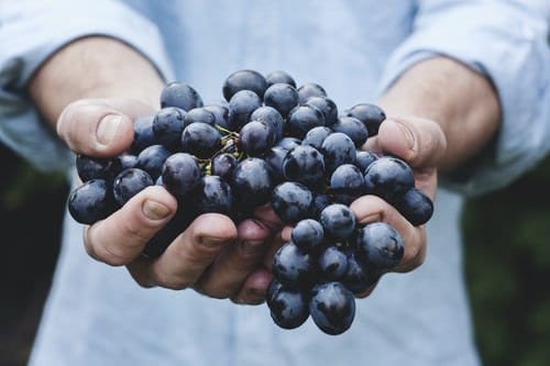 Are Grapes Good For Diabetes?