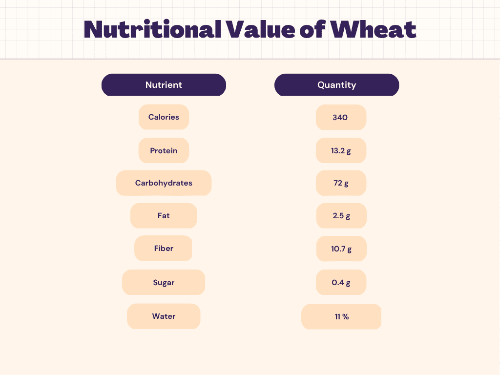 wheat-nutrition