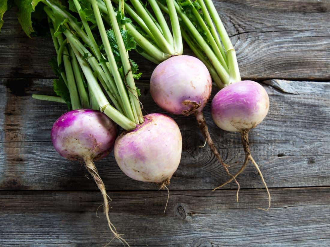 Turnip Nutrition Calories, Protein, Carbs