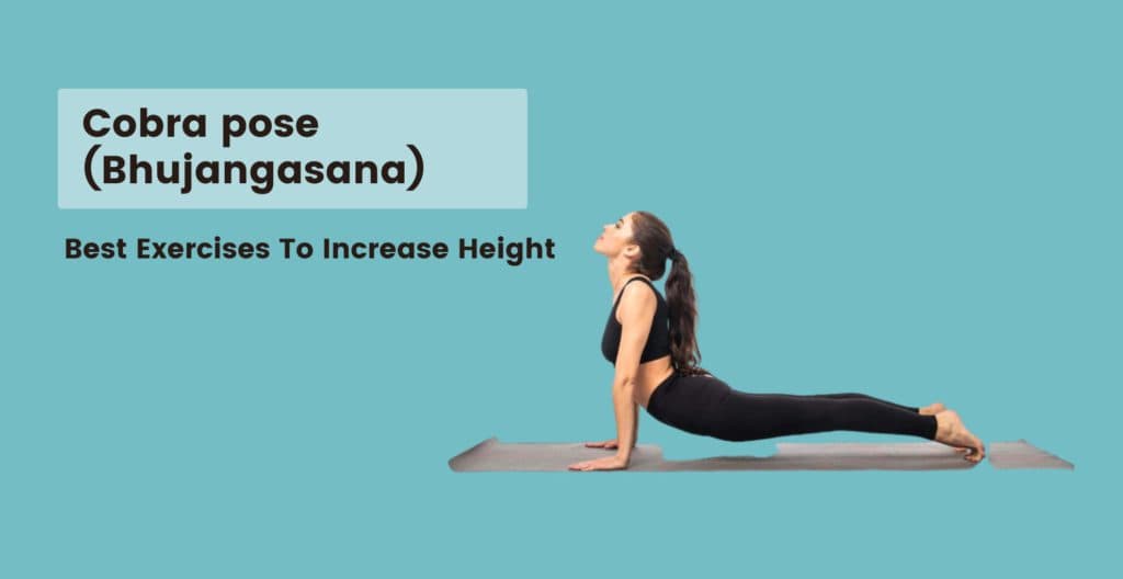 Cobra pose (Bhujangasana)