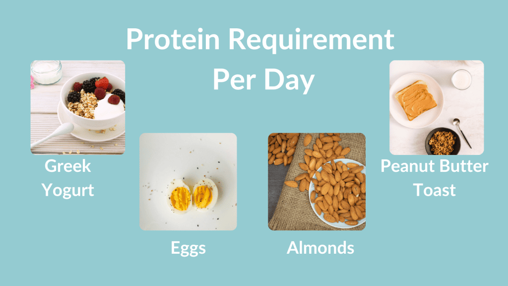 Protein requirement per day