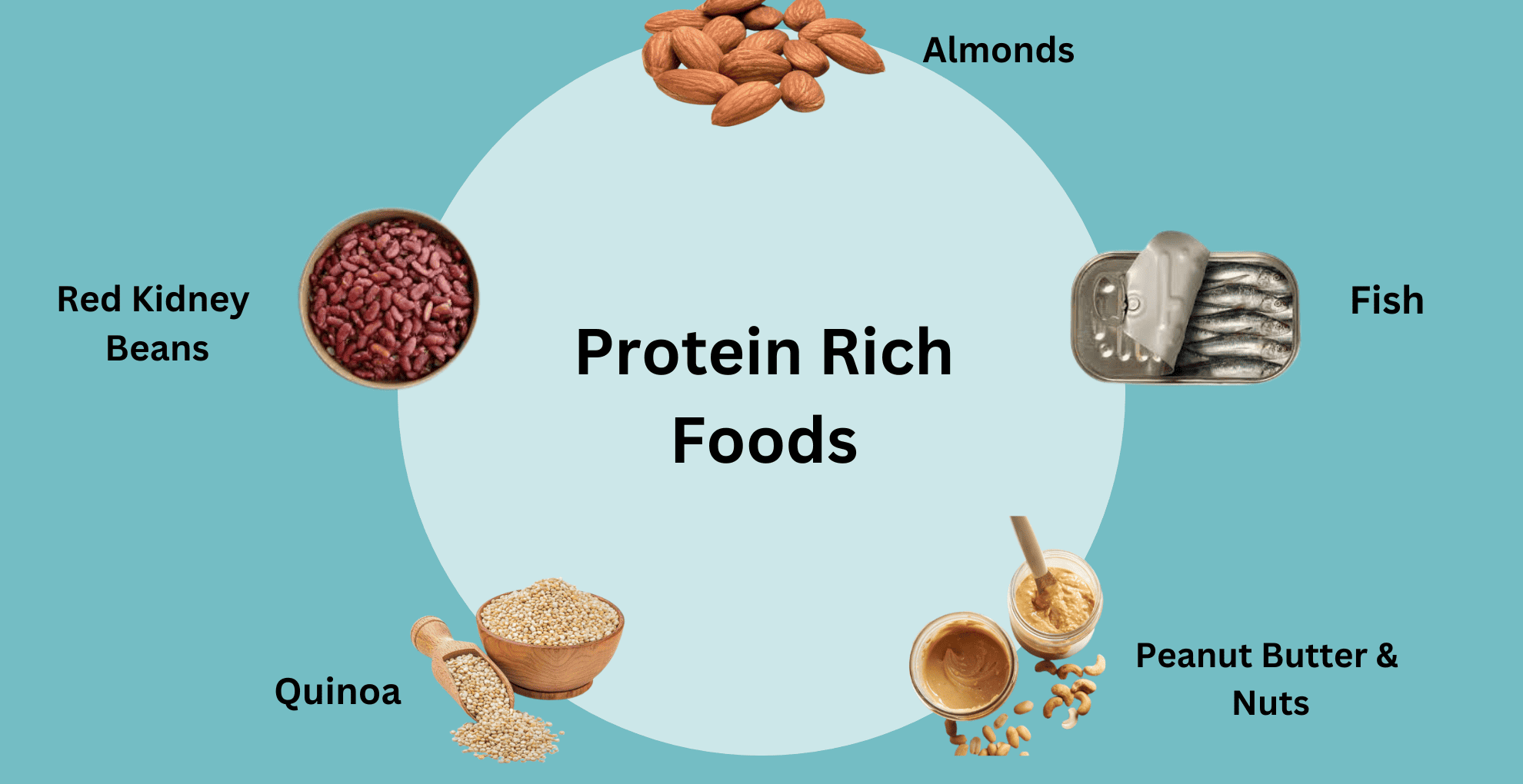 Protein Rich Foods - Top 20 Foods High in Protein | Livofy