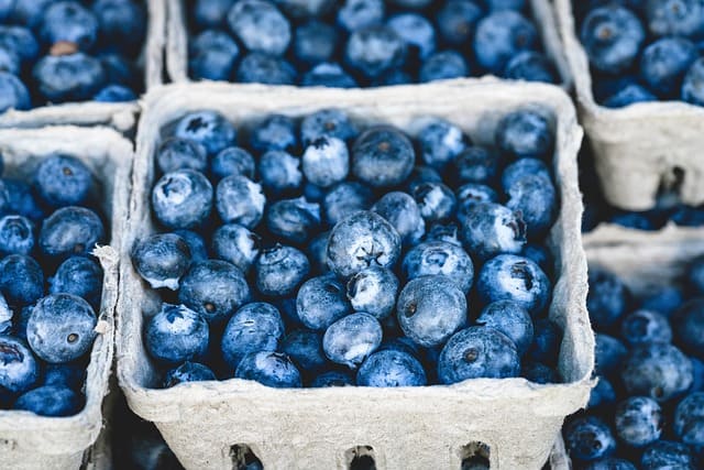 blueberries - fruits for weight loss