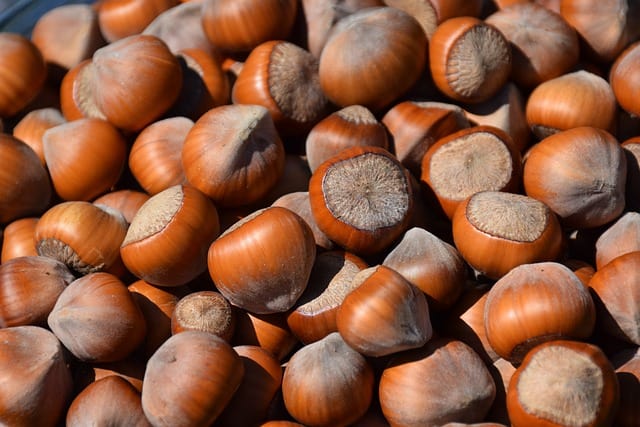 hazelnuts for weight loss