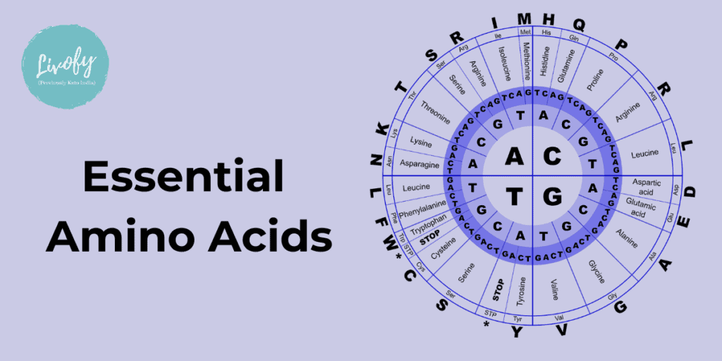 Essential Amino Acids