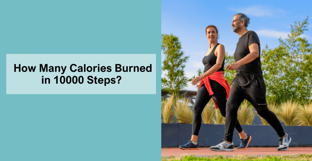 How Many Calories can Walking 10,000 Steps Burn? Livofy