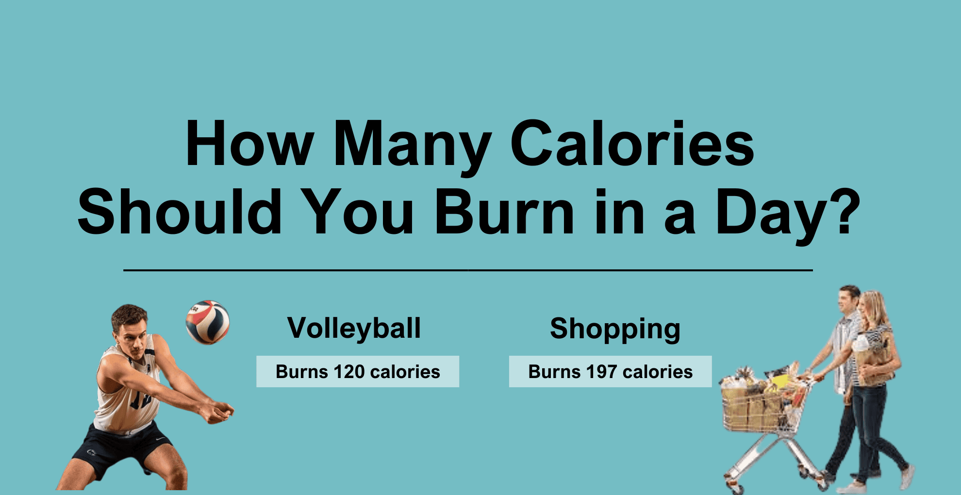 How Many Calories Should You Burn In A Day Livofy