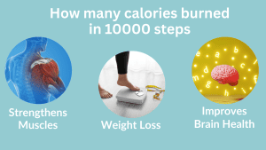 HOW MANY CALORIES BURNED IN 10000 STEPS