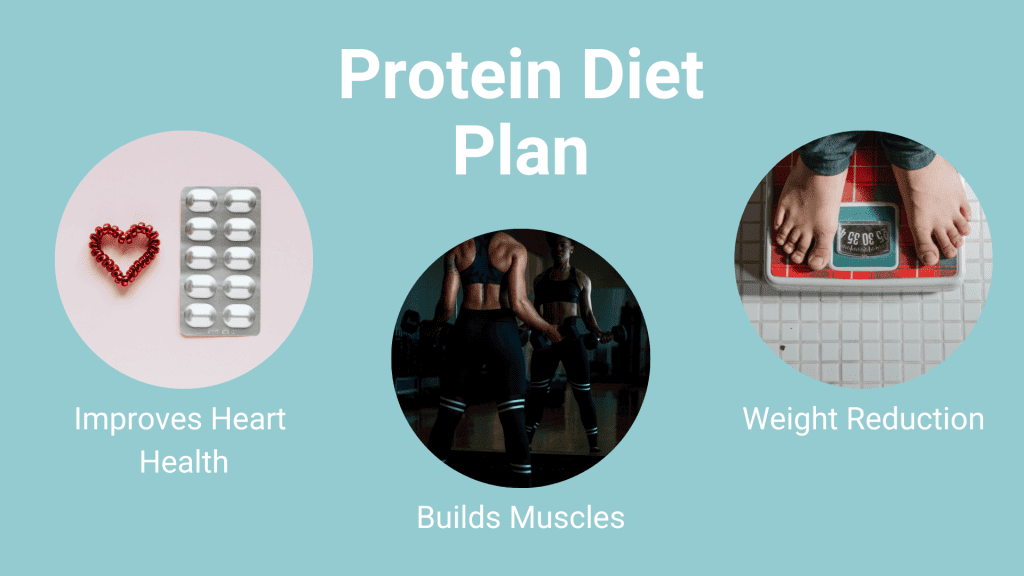 Protein Diet Plan