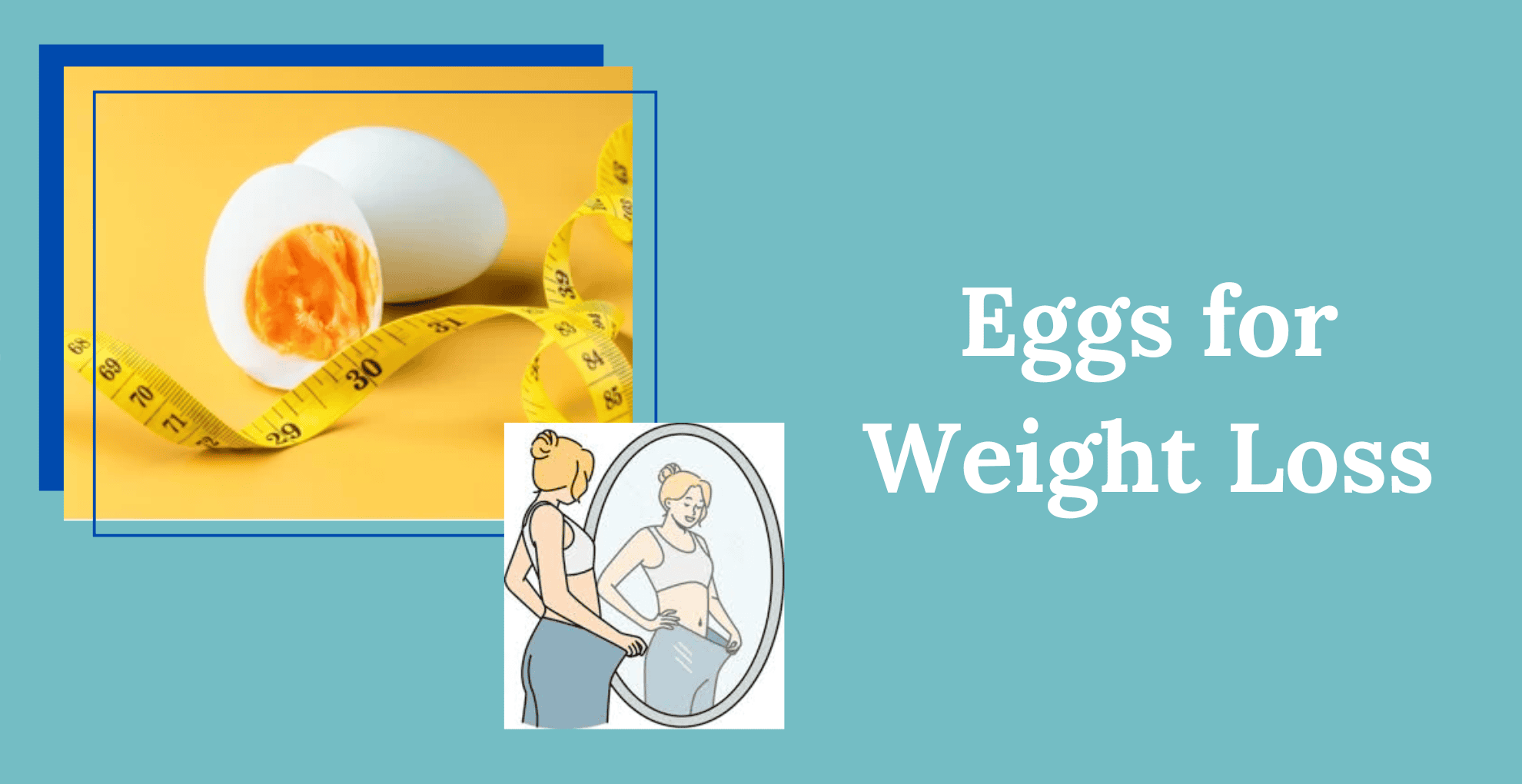 Can Eggs Help To Lose Weight Livofy can-eggs-help-to-lose-weight-livofy